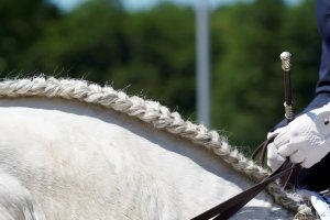 professionelle Turnierfotoigrafen Bayern - Zillhofen Pfaffenhofen Brunnthal Dressur Springreiten Vielseitigkeit